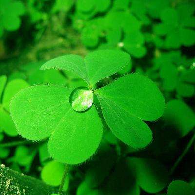 乐动体育下载app下载