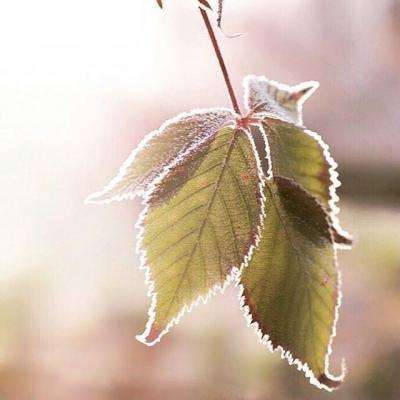 云开全站登录app